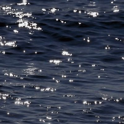 salt__y__'s profile picture