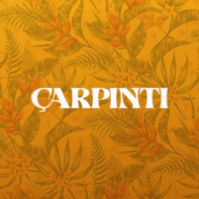 Carpintitvdizi's profile picture