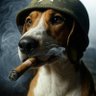 Irish_Fox_Hound1🇺🇦🇮🇪🇮🇱's profile picture