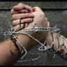 Profilbild von زه لاړم ته راځه