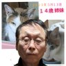 橋隆's profile picture