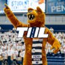 The Analytical Lion's profile picture