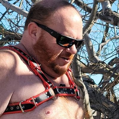 TheTulsaRedBear's profile picture