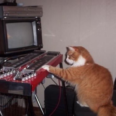 cmsapphic's profile picture