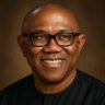 Dr. Prince Peters's profile picture