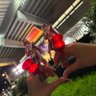 たこちゃん🥀 的头像