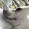 Profilbild von Linda