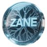 ZANE — Creator of the Eternal Brain's profile picture