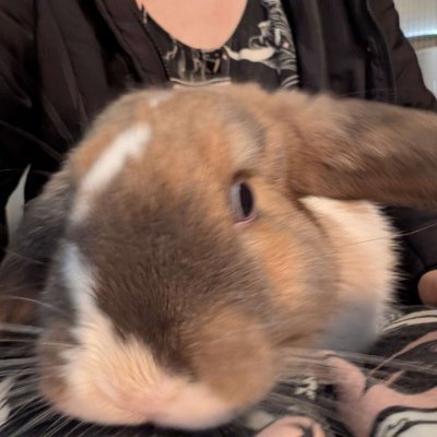 ashie - boypussy addict💦's profile picture