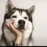 Фото профиля Along