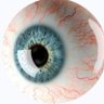 الراصد's profile picture