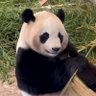 まぁー! 的头像
