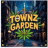 TownZgarden 的头像