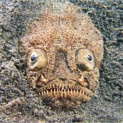 AmazingSights's profile picture