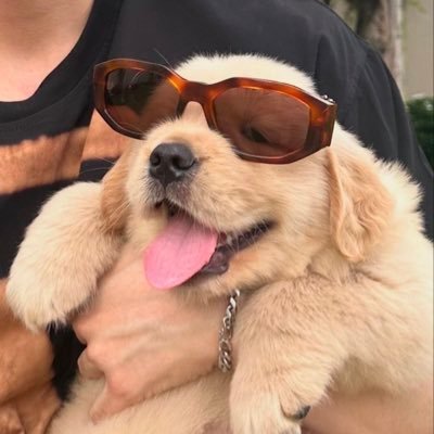BWMypower's profile picture