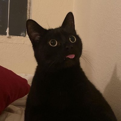 plainsour's profile picture