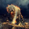 Фото профиля 바른나라