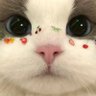 youuu2002 profil fotoğrafı