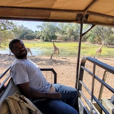 ileribabalobi's profile picture