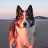 Profilbild von !?…