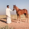 Фото профиля نادر الشمري