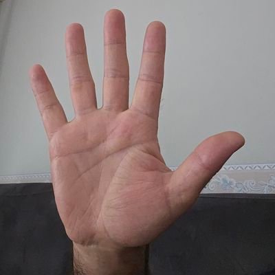 Berkbekir_'s profile picture