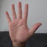Profilbild von SUNGUR TEKİNALP (O.Tuna)