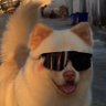 Profilbild von のり塩バタ〜