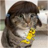 Haruki profil fotoğrafı