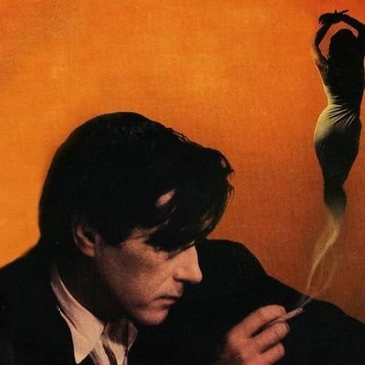 sheisvampyr's profile picture
