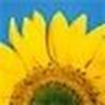 David Pope's profile picture