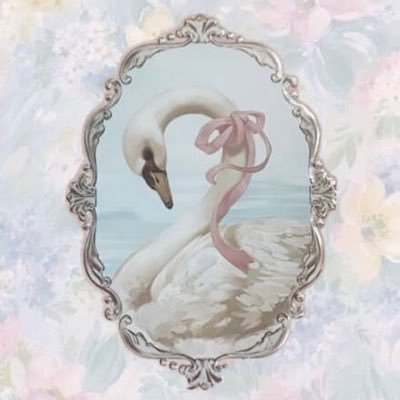 𓂃 *ꫂ ོ𓂃's profile picture