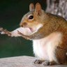 ZALi's profile picture