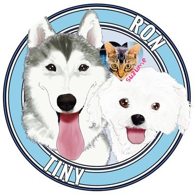⚝ろん&ティニー⚝'s profile picture