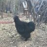 TH profil fotoğrafı