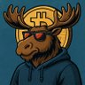 Crypto Moose 的头像