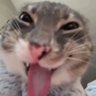 机会… 的头像