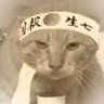 Profilbild von 大你媽個臭屄陸,叫支那!