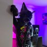 Фото профиля Fenrir