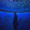 Фото профиля Brandon Welty