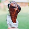 Profilbild von Jeffery damer