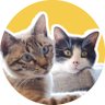 かむかむ's profile picture