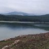سمیر العراقي 的头像