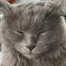 gunkamo's profile picture