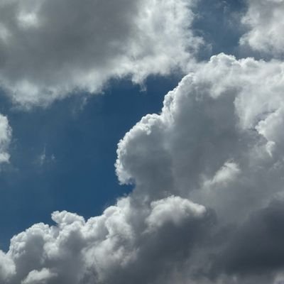 reelephant_omg's profile picture