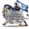 Nathan T 🇮🇱 profil fotoğrafı