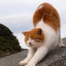だいき 的头像