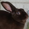 もん。's profile picture