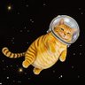 オキニ 的头像