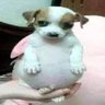 Samukaah NG's profile picture